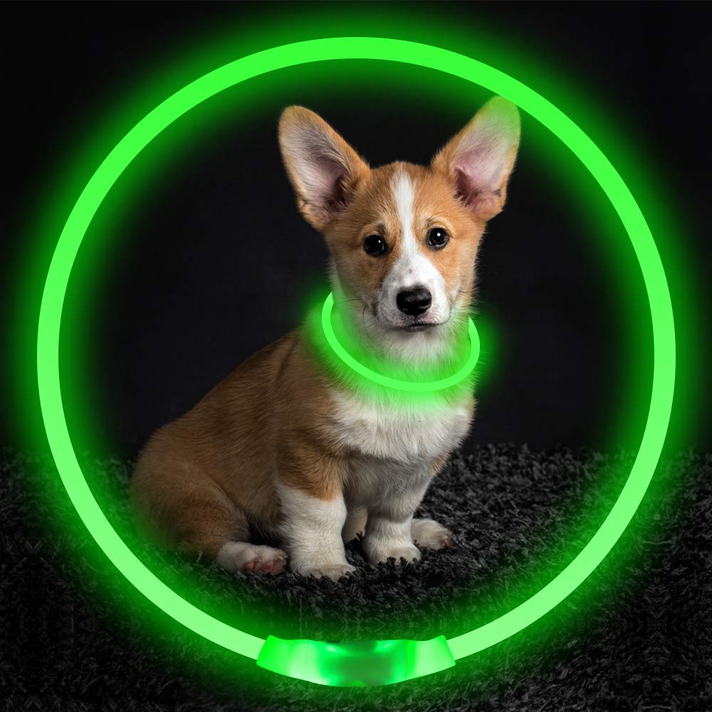 Neon Glow Dog Collar Rechargeable Safety for Night Adventures