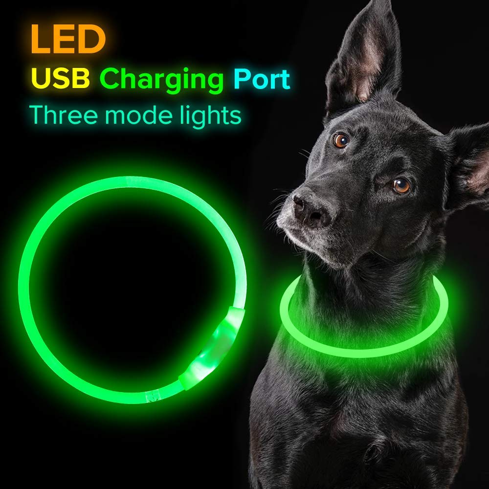 Neon Glow Dog Collar Rechargeable Safety for Night Adventures