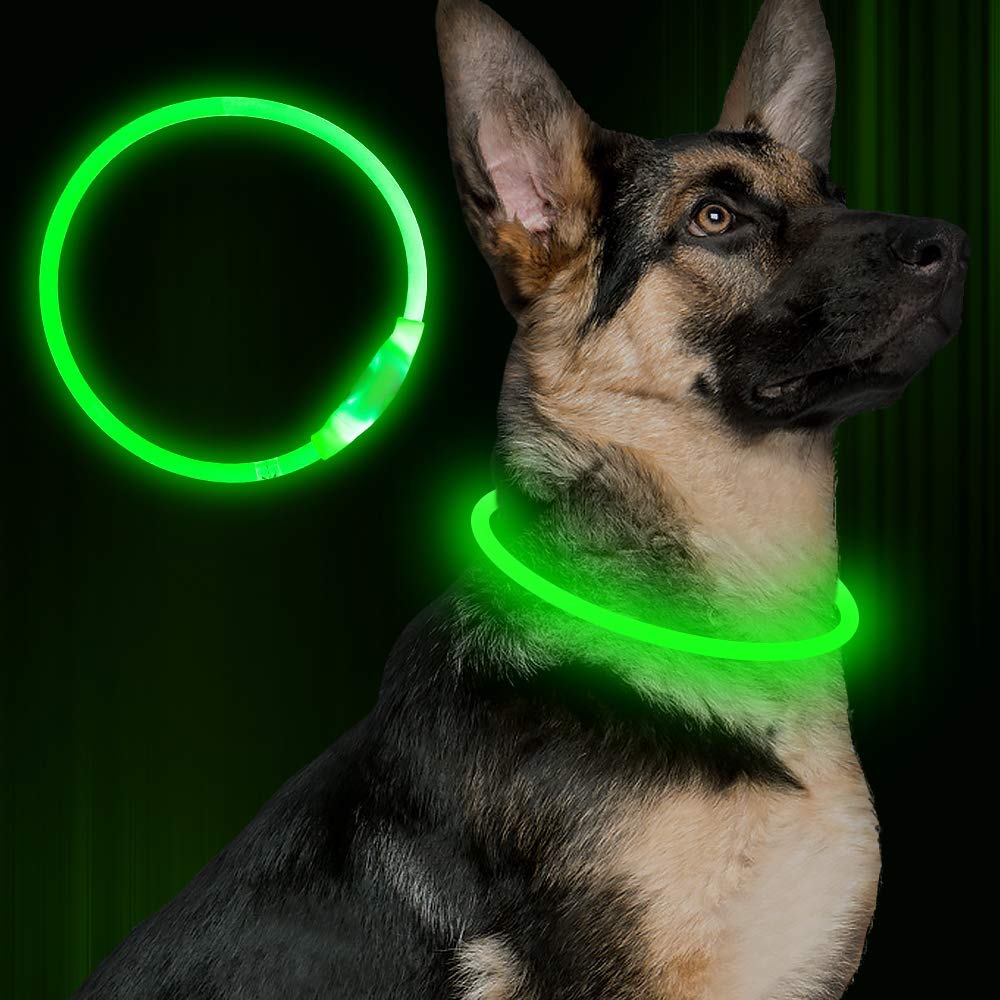 Neon Glow Dog Collar Rechargeable Safety for Night Adventures